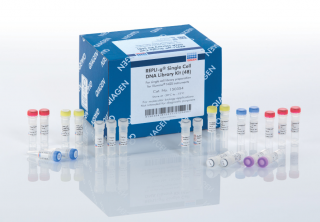 Repli-g Single Cell kit