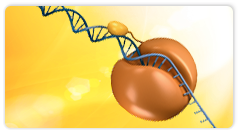 Hot start PCR