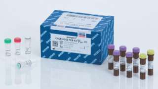 CALR RGQ PCR Kit